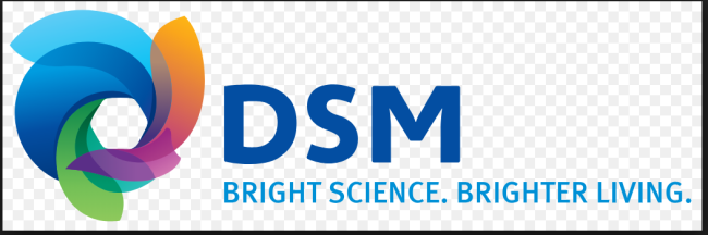DSM2キャプチャ