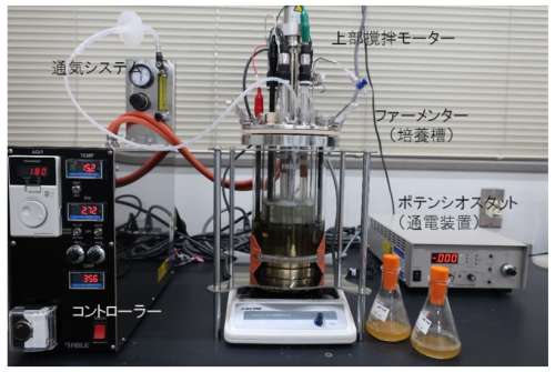 通電型培養装置（エチレン製造装置）