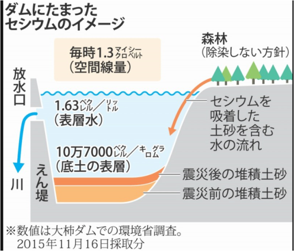 mainichi2キャプチャ
