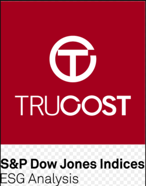 Trucostキャプチャ