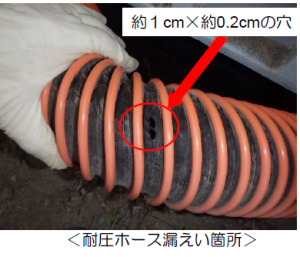 fukushimahorseキャプチャ