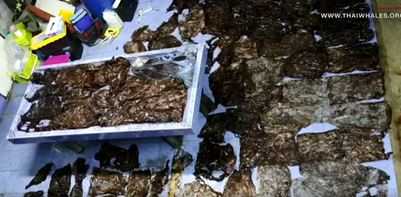 鯨の体内から見つかった大量のプラスチック片