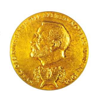 nobelキャプチャ