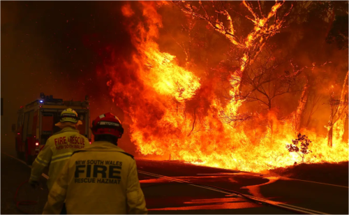 山火事には、なすすべ無し