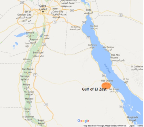 egypt1キャプチャ