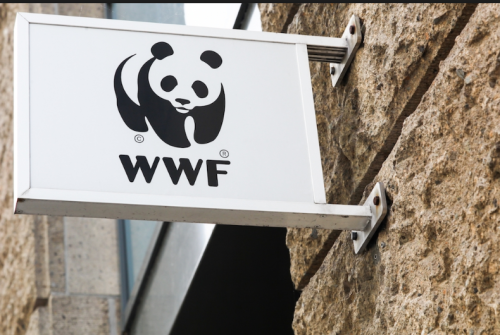 WWFキャプチャ