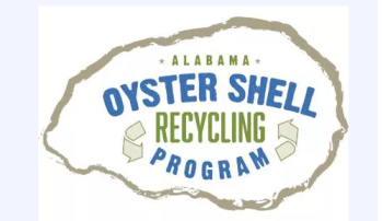 oyster4キャプチャ