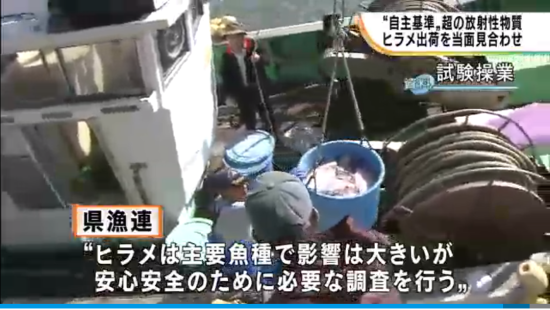 hirame2キャプチャ