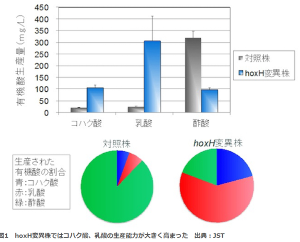 bioキャプチャ