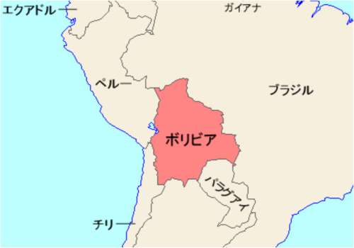 Briiviaャプチャ