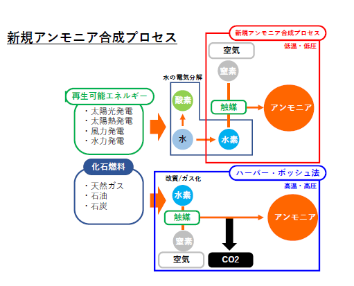 anmonia2キャプチャ