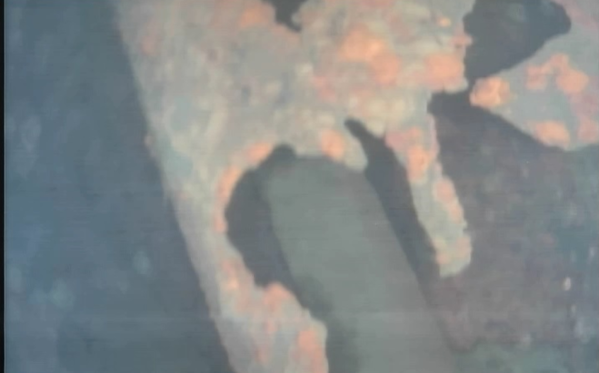 fukushimadeburi1キャプチャ