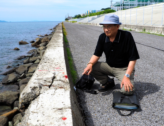 埋立地の護岸のコンクリートにはひび割れが発生している