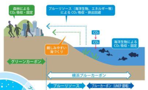 横浜市の「グルークレジット・オフセット制度」の仕組み