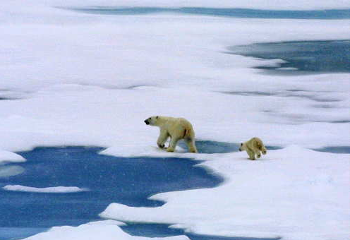 NOrth pole5キャプチャ