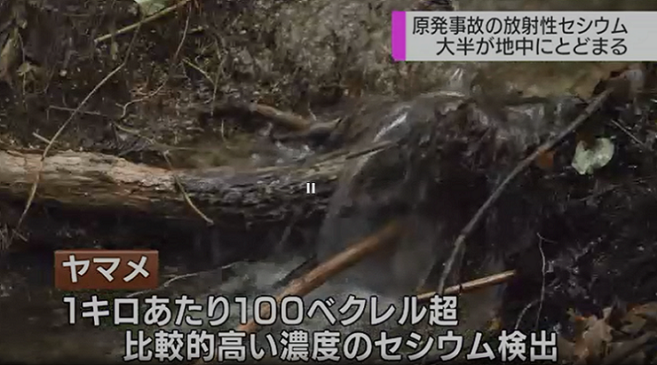 NHK22キャプチャ