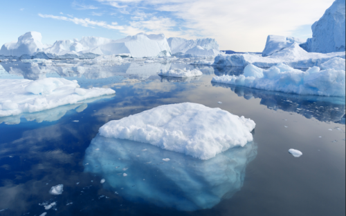 NOrth pole3キャプチャ