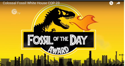 fossileawardキャプチャ