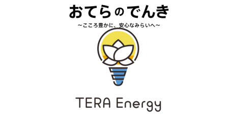 teraenergy1キャプチャ