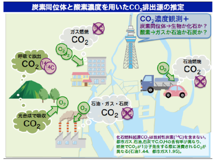 tree3キャプチャ