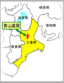 aoyama3キャプチャ