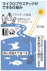iwashiPK2016040902100131_size0