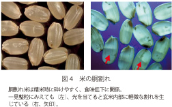 ondankafig4