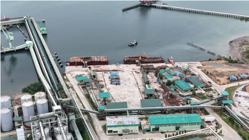 ボルネオの熱帯雨林を伐採して積み出す港湾施設(=RANのサイトから)