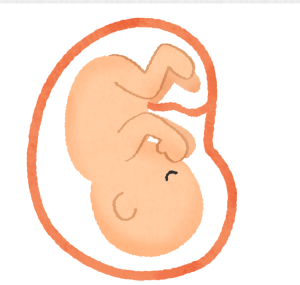 baby002キャプチャ